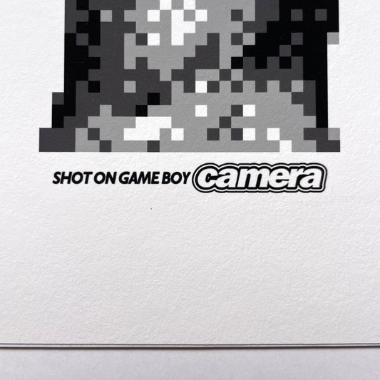 STATUE - LIMITED GICLÉE PRINT (edition of 25)