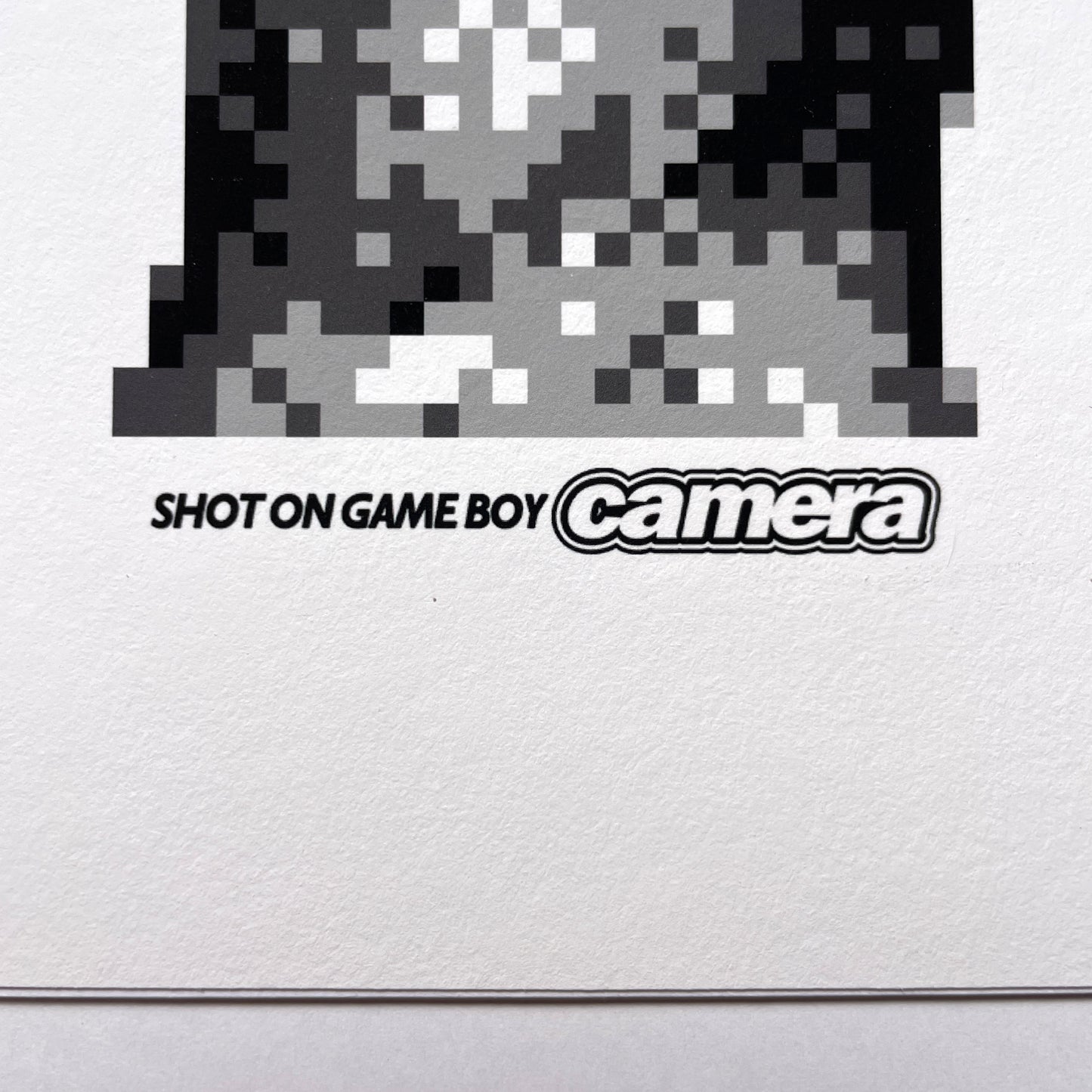 STATUE - LIMITED GICLÉE PRINT (edition of 25)