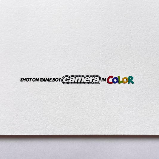 STATUE No. 2 - LIMITED GICLÉE PRINT (edition of 50)